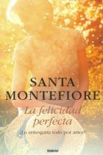 La felicidad perfecta.¿lo arriesgaría todo por amor?