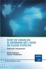 Anàlisi de l'estat de canvis en el patrimoni net i de l'estat de fluxos d'efecti