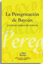 La peregrinación de Bayoán