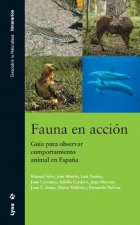 Fauna en acción