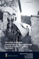 Un cant a l'enyor: Gavadà en la seva plenitud