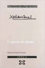 O camiño de abaixo