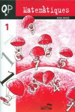 QP Matemàtiques 1