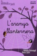L'aranya llanternera