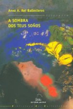 A sombra dos teus soños
