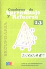 Cuaderno de aprendizaje y refuerzo 1.3