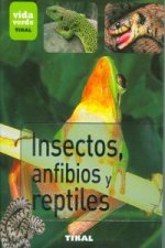 Insectos, anfibios y reptiles