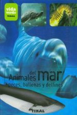 Animales del mar, peces, ballenas y delfines