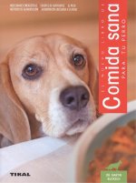 COMIDA SANA PARA TU PERRO