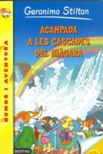 Acampada a les cascades del Niàgara