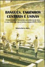 BANGUÊS, ENGENHOS CENTRAIS E USINAS