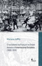 O Socialismo na França e no Brasil