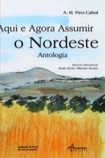 Aqui e Agora Assumir o Nordeste