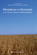 Dinamicas da OcupaÇao e do Uso da Terra em MoÇambique