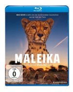 Maleika
