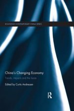China's Changing Economy