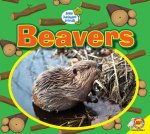 Beaver Beaver
