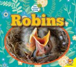 Robin Robin