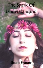 Spark of Understanding