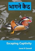 Escaping Captivity: A Simple Guide to Becoming Whole in Christ