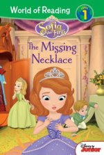 Sofia the First: The Missing N