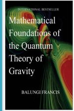 Mathematical Foundations of the Quantum Theory of Gravity