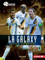 La Galaxy: Soccer Champions
