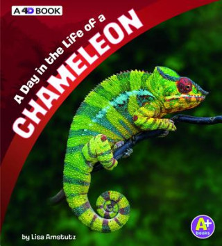 A Day in the Life of a Chameleon: A 4D Book