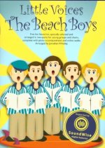 Little Voices - The Beach Boys (Book/Media)