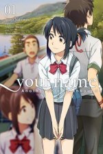 your name. Another Side: Earthbound. Vol. 1