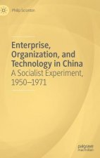 Enterprise, Organization, and Technology in China