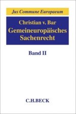 Gemeineuropäisches Sachenrecht  Band 02: Besitz; Erwerb und Schutz subjektiver Sachenrechte