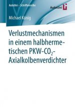 Verlustmechanismen in Einem Halbhermetischen Pkw-Co2-Axialkolbenverdichter