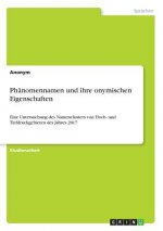 Phänomennamen und ihre onymischen Eigenschaften