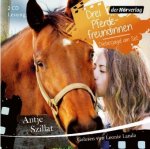 Drei Pferdefreundinnen - Diebesjagd am Set, 2 Audio-CDs