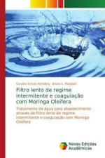Filtro lento de regime intermitente e coagulacao com Moringa Oleifera