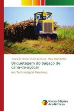 Briquetagem do bagaco de cana-de-acucar