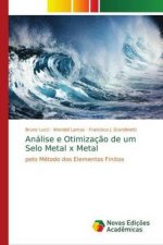 Analise e Otimizacao de um Selo Metal x Metal