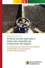 Pirolise branda aplicada a lodos das estacoes de tratamento de esgoto