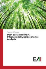 Debt Sustainability:A International Macroeconomic Analysis