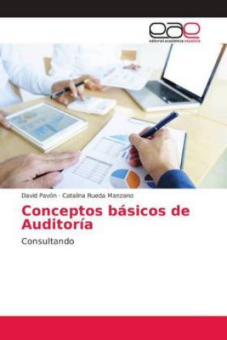 Conceptos basicos de Auditoria