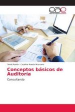 Conceptos basicos de Auditoria