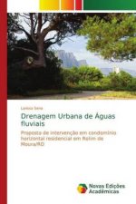 Drenagem Urbana de Aguas fluviais