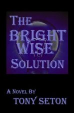 Bright Wise Solution