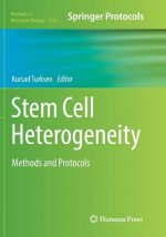 Stem Cell Heterogeneity
