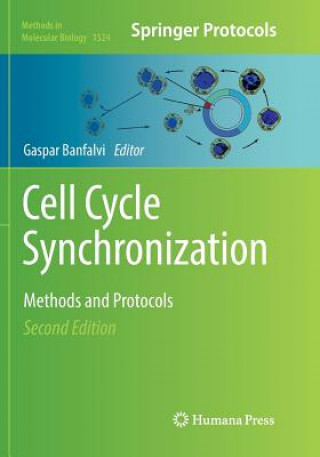 Cell Cycle Synchronization