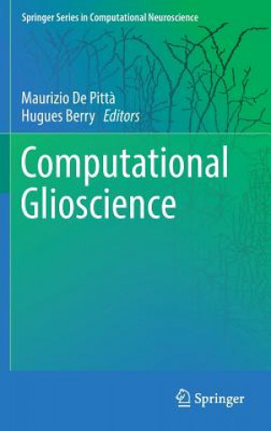 Computational Glioscience