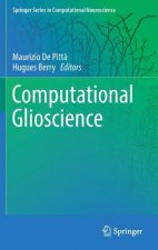 Computational Glioscience