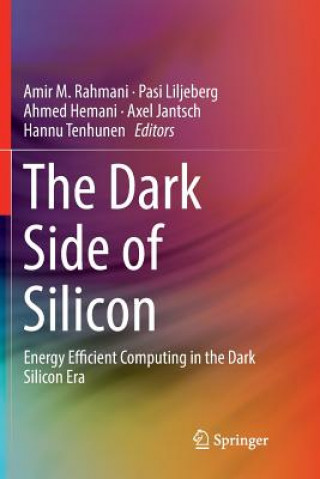 Dark Side of Silicon