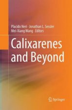 Calixarenes and Beyond